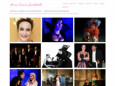 annacarinasundstedt.com snapshot
