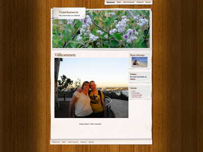 teamhansson.com snapshot
