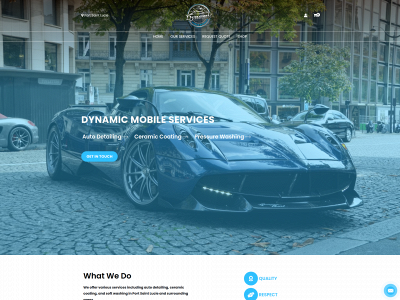 dynamicmobileservices.com snapshot