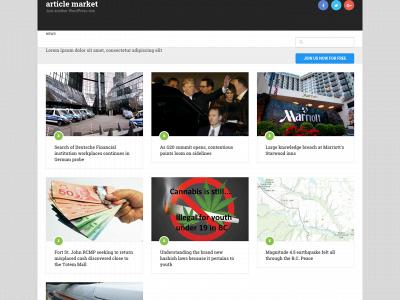 articlemarket.info snapshot