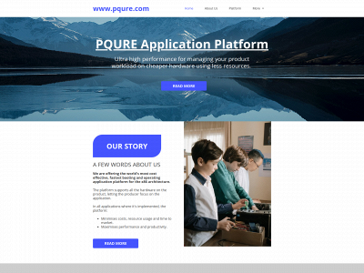 pqure.com snapshot