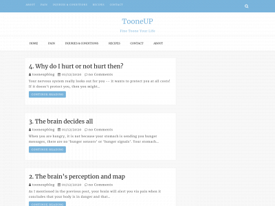 tooneup.com snapshot