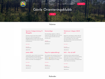 gok.se snapshot