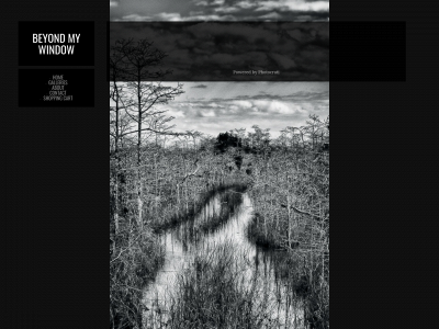 beyondmywindow.com snapshot