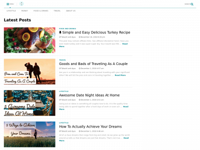 mindsetraveler.com snapshot