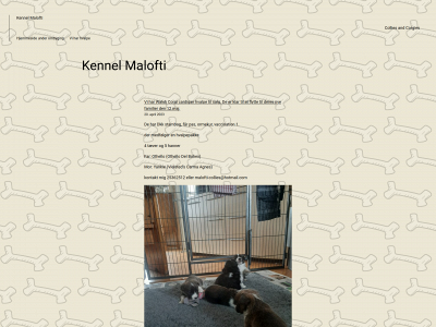 malofti-collies.dk snapshot