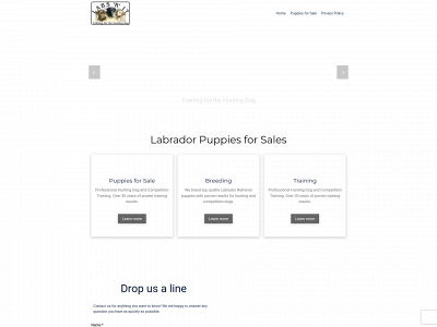 labsrit.com snapshot
