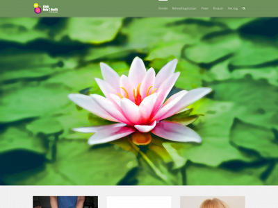 bodyandhealth.dk snapshot