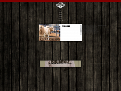 thebullmen.com snapshot