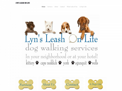 lynsleash.weebly.com snapshot