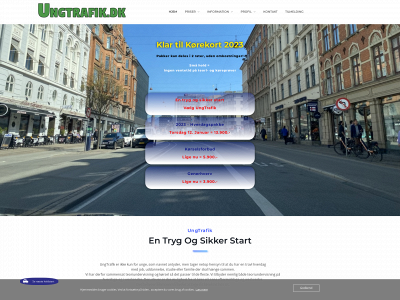 fremtidensbilist.dk snapshot