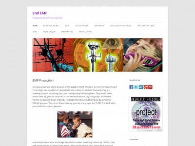 endemf.com snapshot