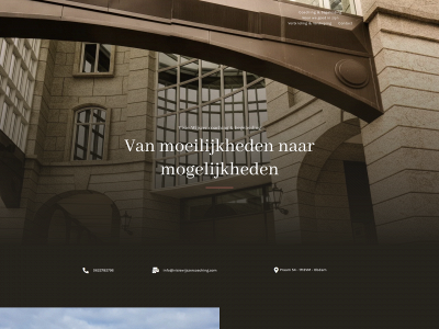 visiewijszercoaching.com snapshot
