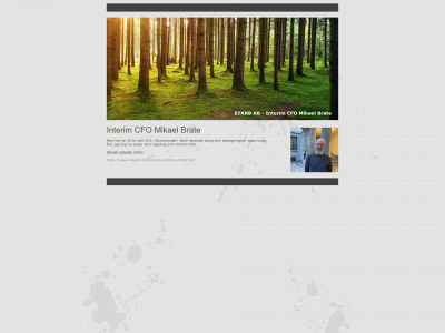 brate.se snapshot
