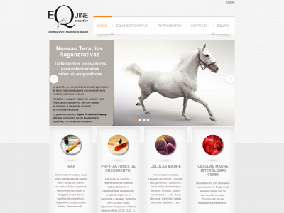 equineproactive.com snapshot