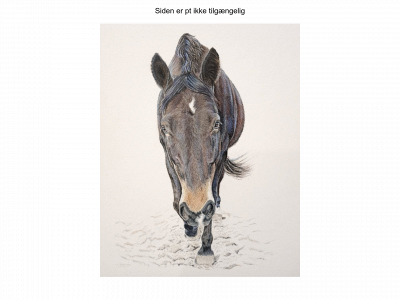 ninajensenartwork.dk snapshot