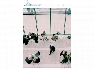 adcogito.lt snapshot