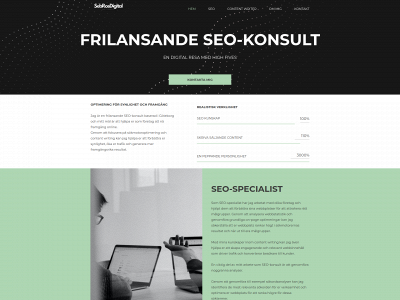 sebrosdigital.se snapshot