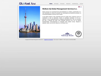 globalbv.nl snapshot