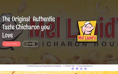 mlapid.com snapshot