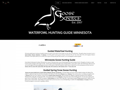 www.goosexperts.com snapshot
