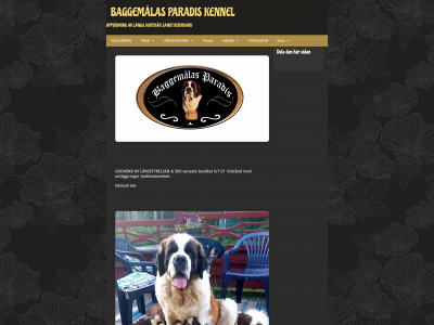 baggemalas.se snapshot