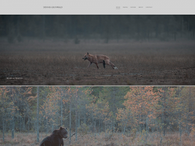 dennisgrunwald.se snapshot