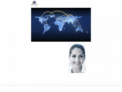 biwebglobal.com snapshot