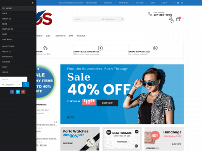 big-online-store.com snapshot