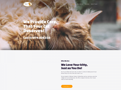 kittycarecleeve.com snapshot