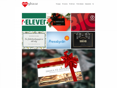 smsgava.se snapshot