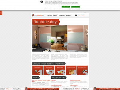 durysinternetu.lt snapshot