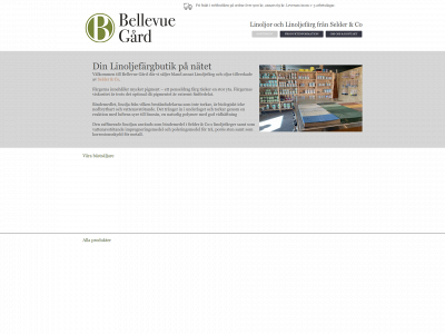 bellevuegard.se snapshot