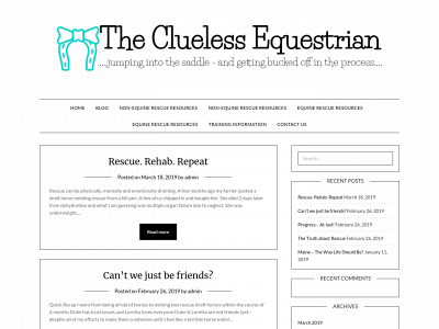 thecluelessequestrian.com snapshot