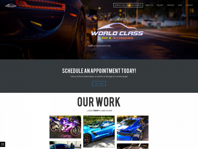 www.worldclasstint.com snapshot
