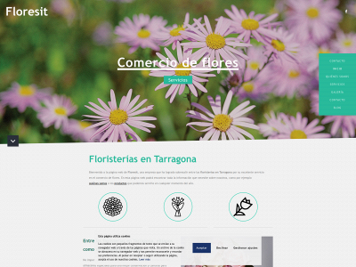 floresit.com snapshot
