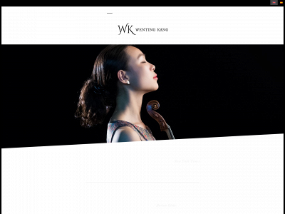 wentingkang.com snapshot