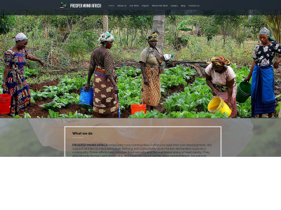 prospermamaafrica.org snapshot