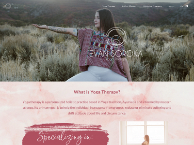 www.evansoroka.com snapshot