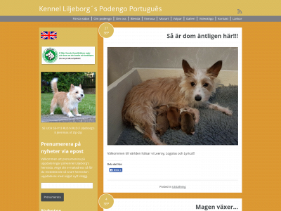 liljeborgs.se snapshot