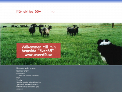 over65.se snapshot