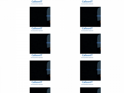 calisonit.com snapshot