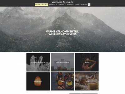 wellnessayurveda.se snapshot
