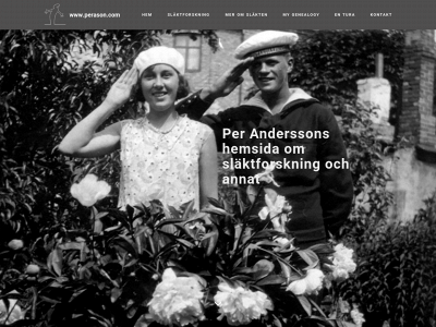perason.com snapshot