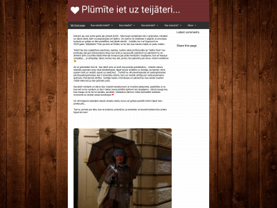 pluumiitbeerns.com snapshot