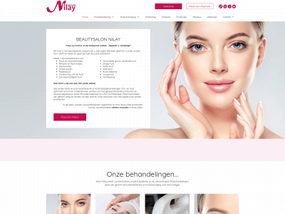salonnilay.nl snapshot