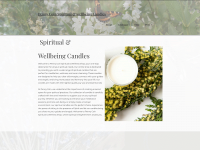 penny-coin-spiritual-shop.info snapshot