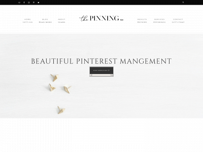thepinningco.com snapshot