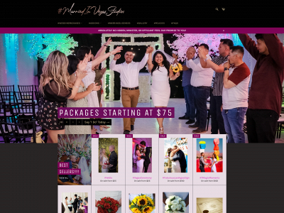 www.mivstudios.com snapshot