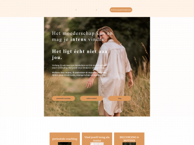 nesten-ondersteuning.be snapshot